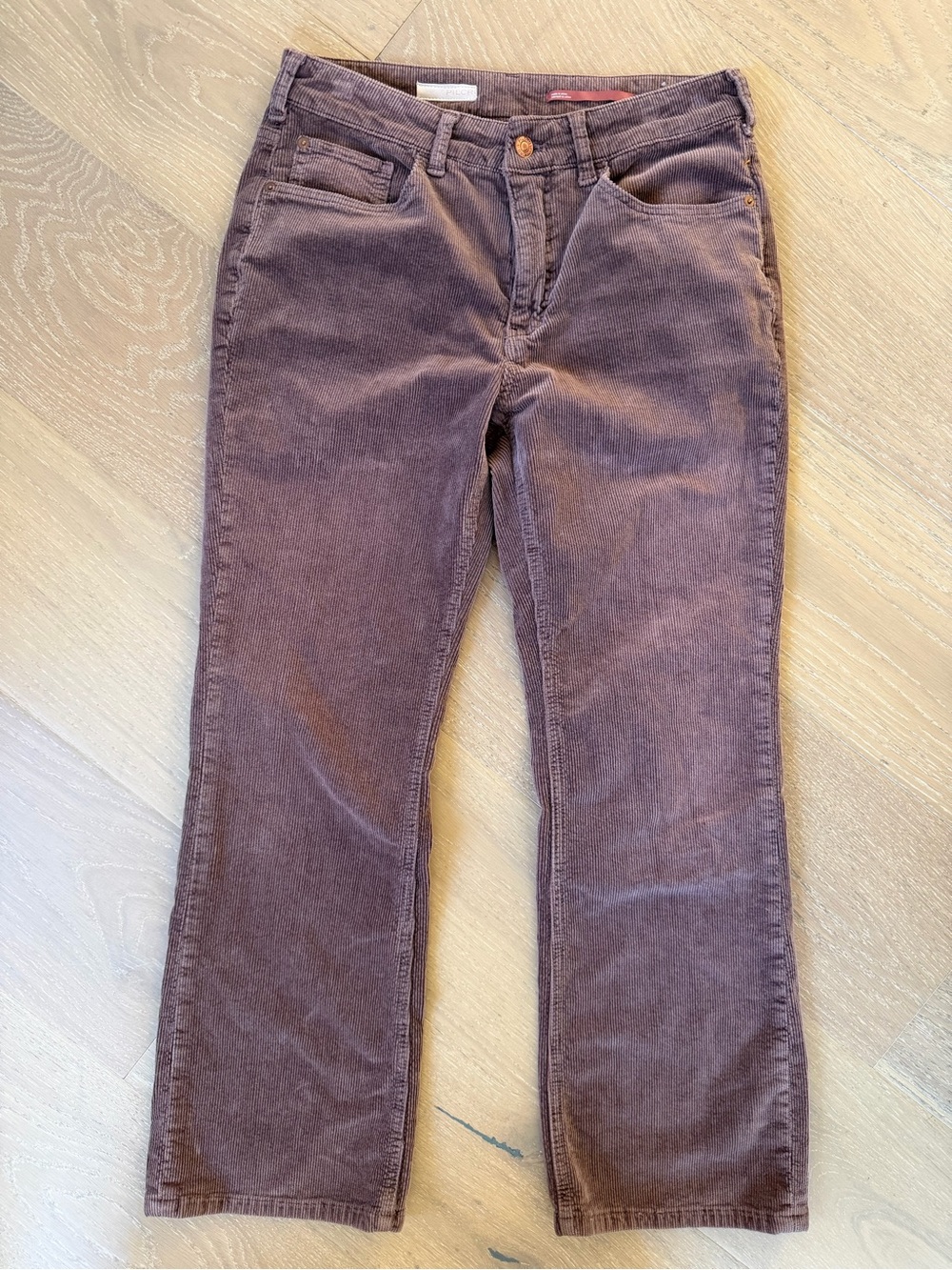 Pilcro Straight-Leg Corduroy Jeans in Chocolate Brown